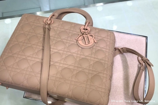 Tony Luxuries BAG diro LARGE LADY 0809